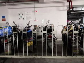 花果園停車場服務提升進行時 分區(qū)停放、油電分離與導視優(yōu)化