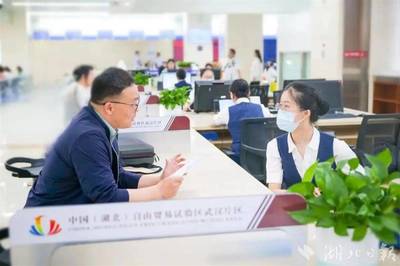 光谷率先設立全國首個低空經濟服務窗口，提供專業經濟信息咨詢